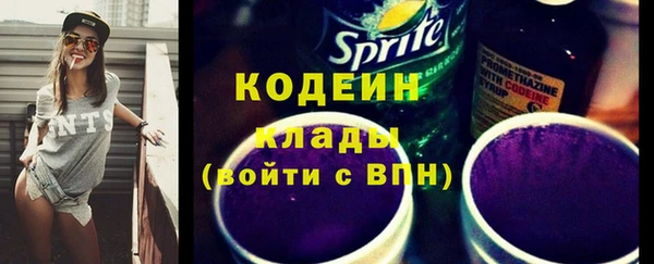 молекула духа Покров