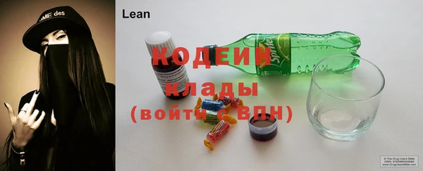молекула духа Покров