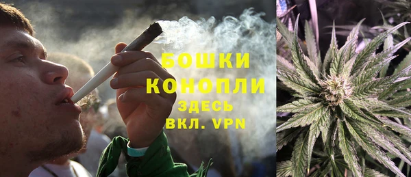 молекула духа Покров