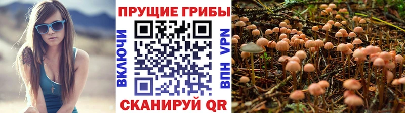Галлюциногенные грибы GOLDEN TEACHER  как найти   кракен tor  Ханты-Мансийск 